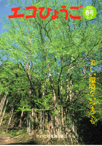 エコひょうご No.15