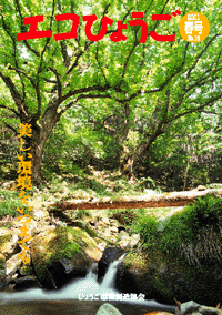 エコひょうご No.19