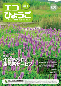 エコひょうご No.53