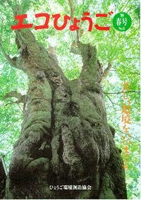 エコひょうご No.11