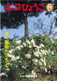 エコひょうご No.21